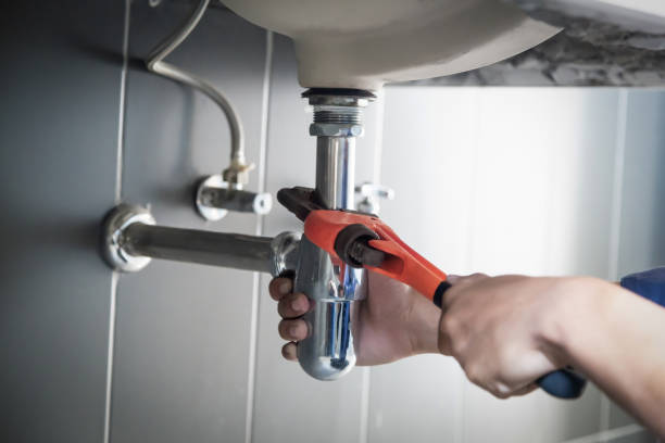 Best Clogged Drain Plumber  in Shenandoah, PA