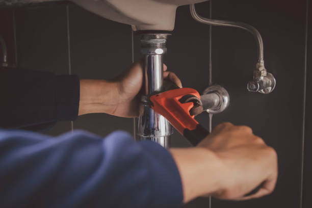 Best Local Plumber Services  in Shenandoah, PA