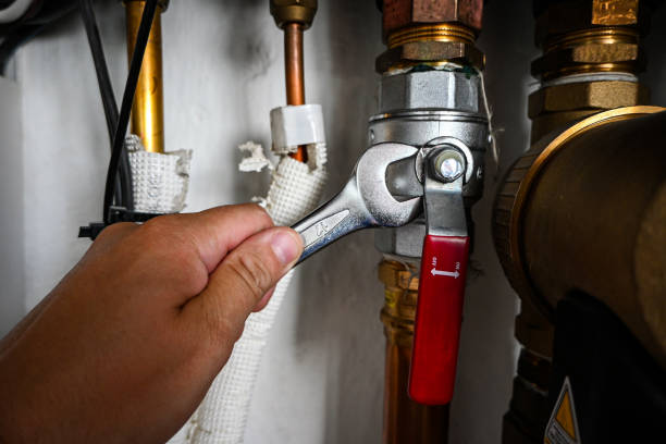 Best 24-Hour Plumber Near Me  in Shenandoah, PA